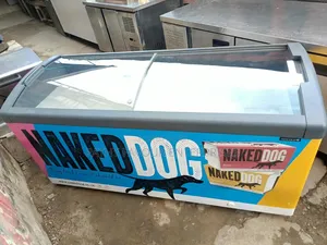 BCD Chest Freezer
