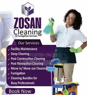 Cleaning Services