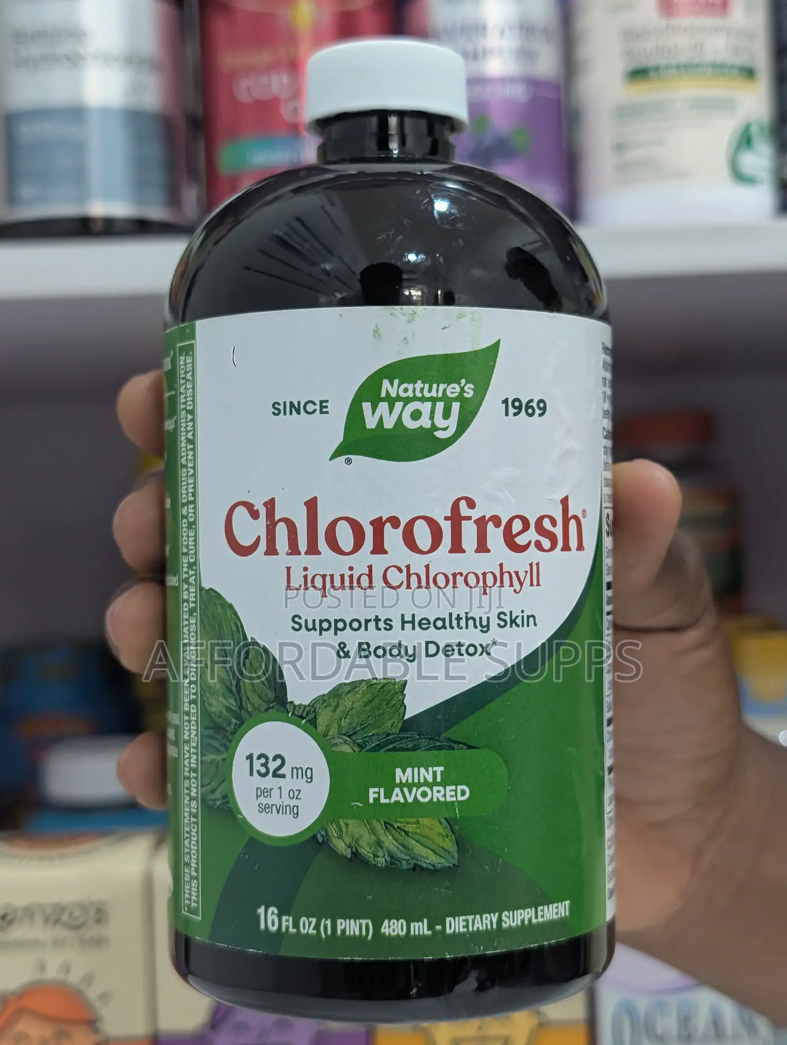 Nature's Way Chlorofresh Chlorophyll 480ml – 132mg Per Serving