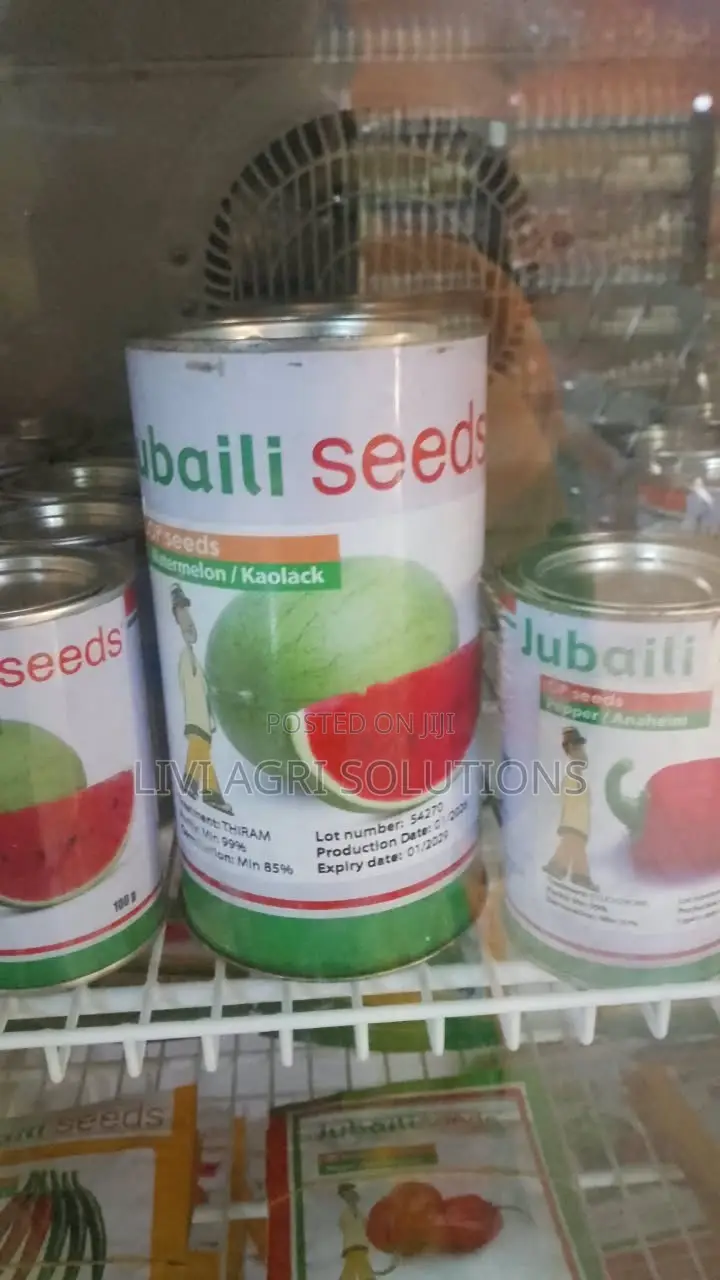 Watermelon/Kaolack