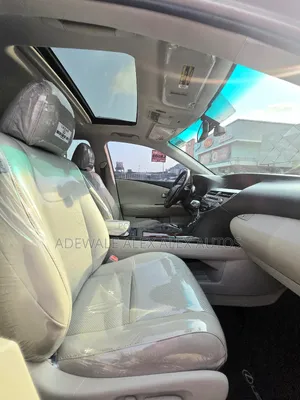 Lexus RX 2010 Silver