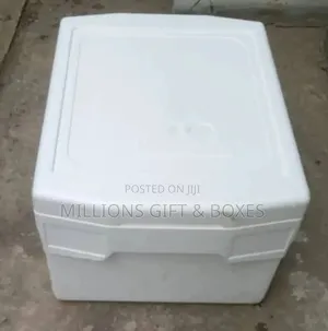 Styrofoam Coolers in 4 Sets of Litres
