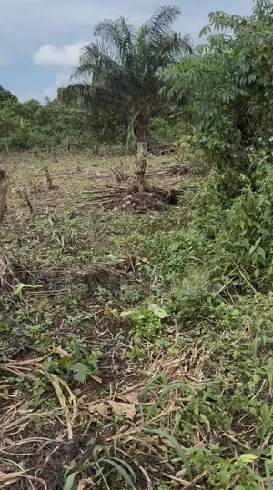 I’ve 3 Plot Land for Sell