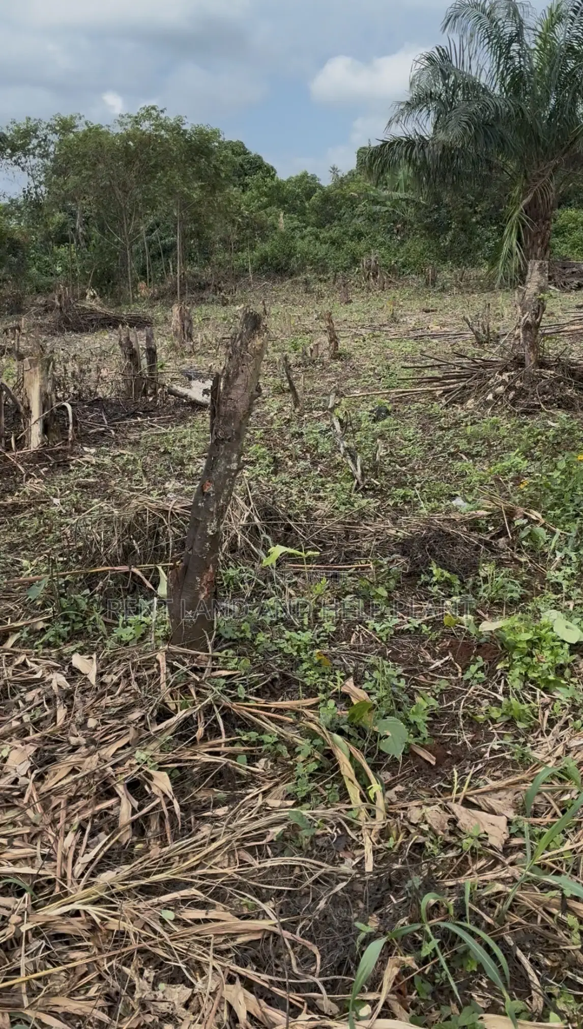 I’ve 3 Plot Land for Sell
