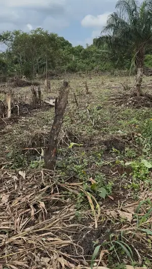 I’ve 3 Plot Land for Sell