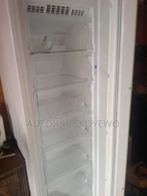 Big Freezer
