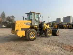 Foreign Used Liugong 833 Wheel Loader 2019