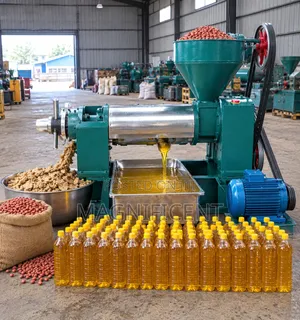 Industrial Groundnut Oil Extractor Machine – Heavy Duty Peanut Oil Pro