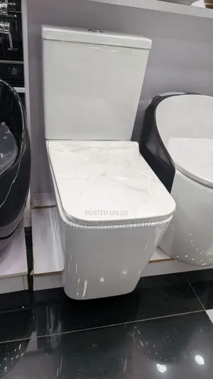 Extra Height Water Closet