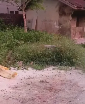Sharp Sweet Land of 50 by 70 for Sale Off Jakpa Road Effurun