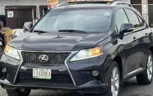 Lexus RX 2010 Gray