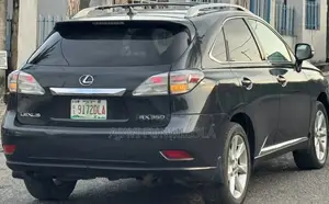 Lexus RX 2010 Gray