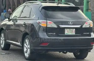 Lexus RX 2010 Gray