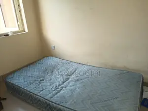Fairly Used Mattress
