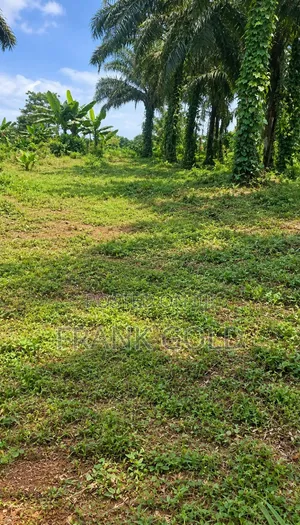 Promise Land Estate, an Amazing 50×100 Plot — Own Your Future!