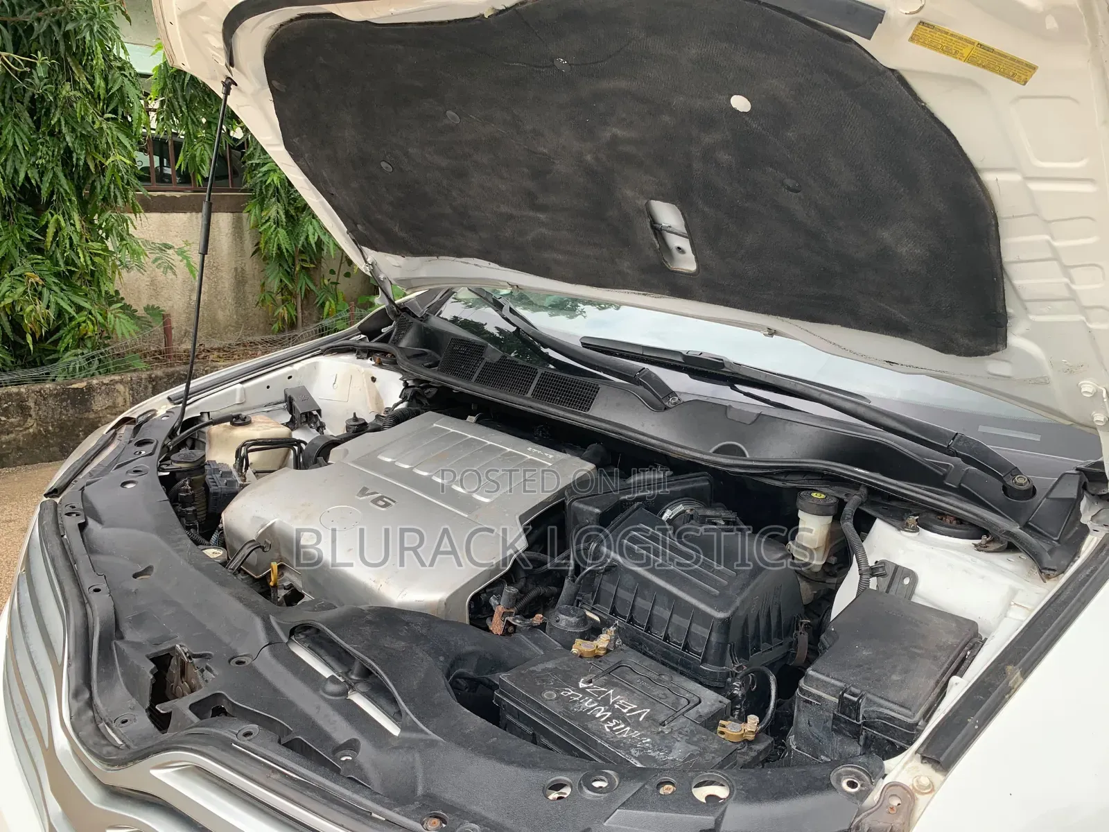 Toyota Venza XLE 2010 White