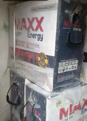 255A Maxx Tubular Battery
