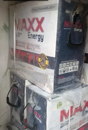 255A Maxx Tubular Battery