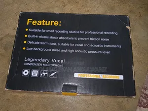 Big New Condenser Microphone