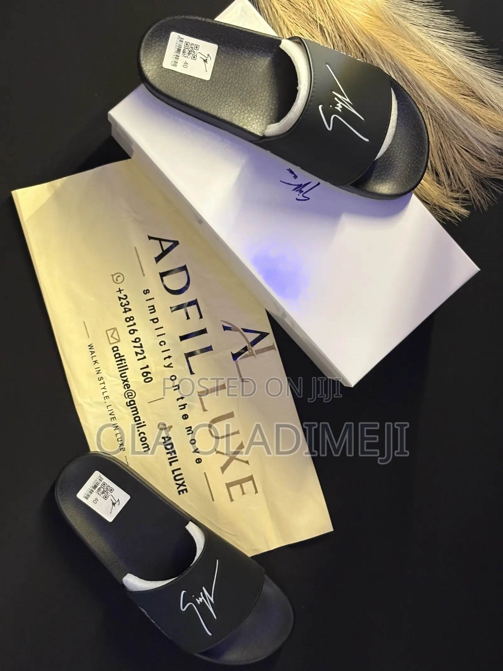 Zanotti Slides