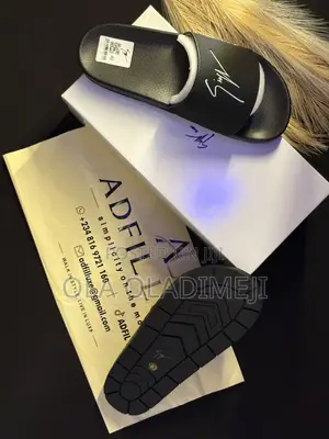 Zanotti Slides