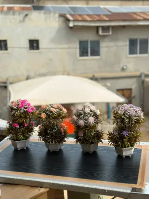 Beautiful Flower Decoration