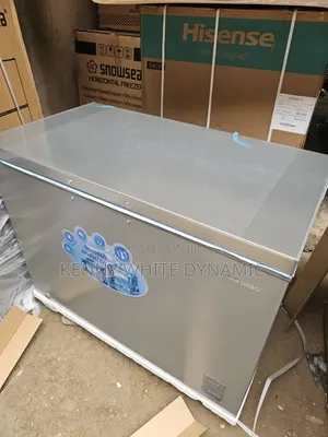 Aeon Barossa Inverter Freezer Model 300