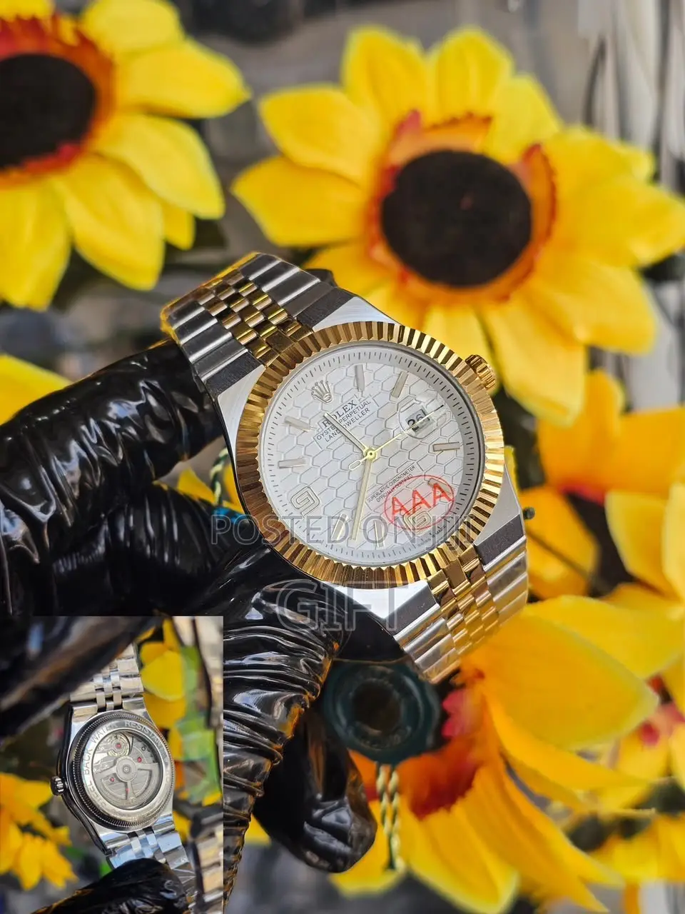 Rolex Land