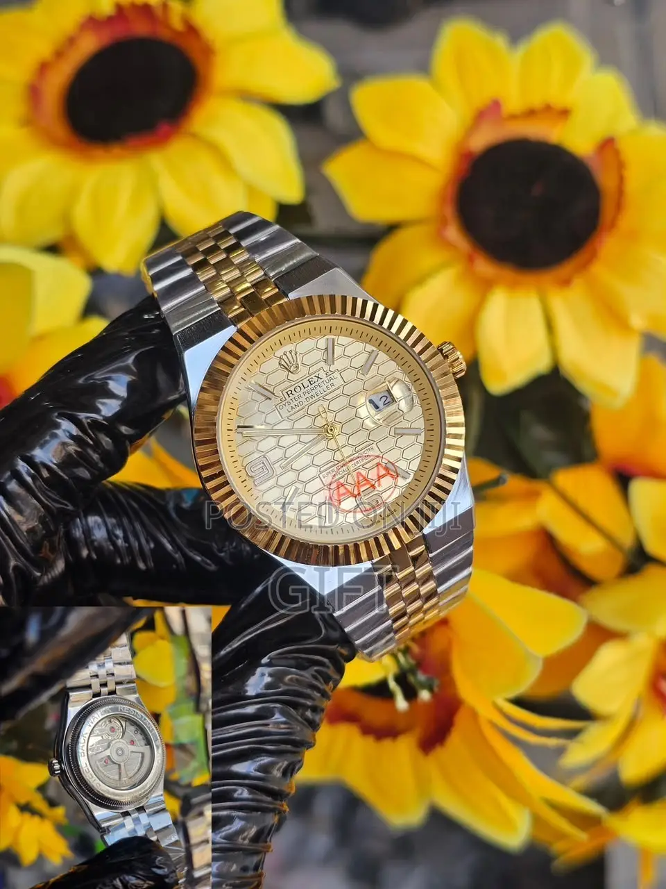 Rolex Land