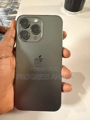 Apple iPhone 13 Pro 256 GB Gray