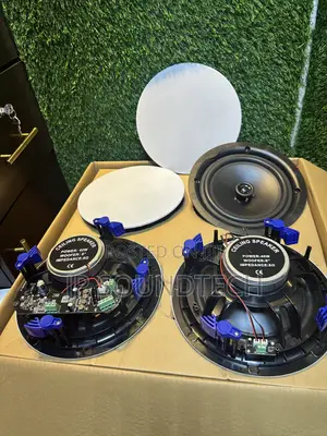 4 in 1 Powerful Bluetooth Ceiling Speaker