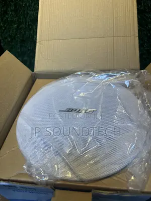 Bose Passive Ceiling Speaker