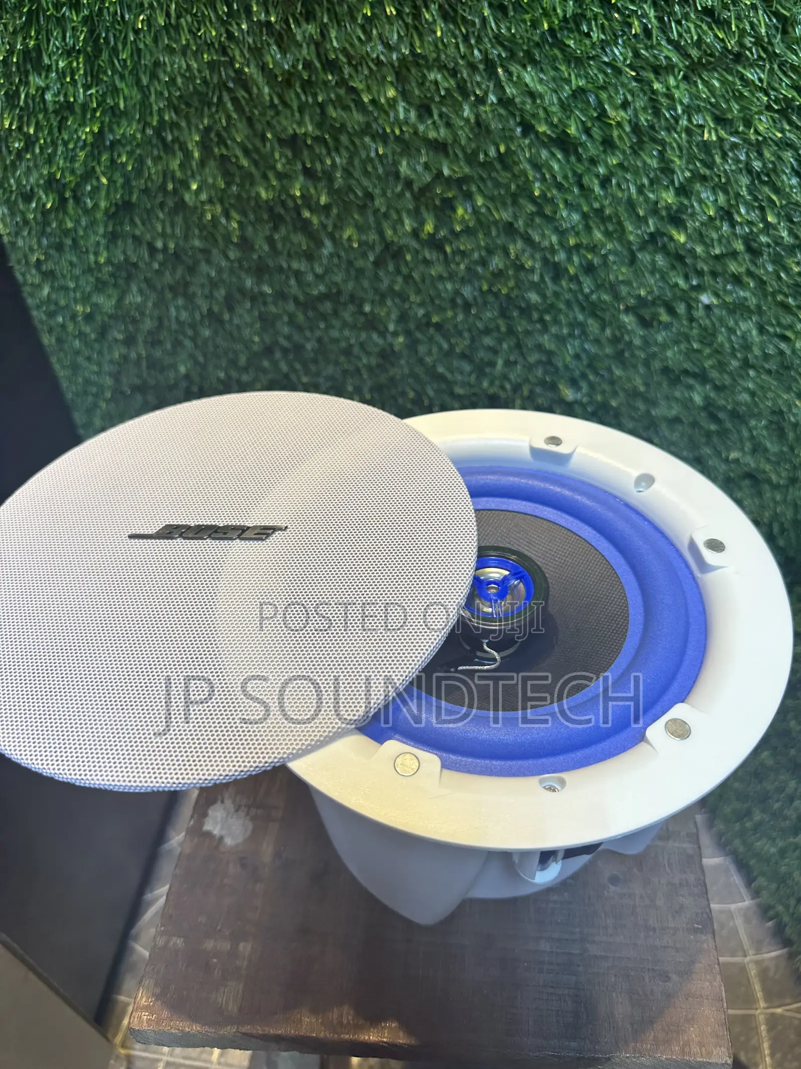 Bose Passive Ceiling Speaker