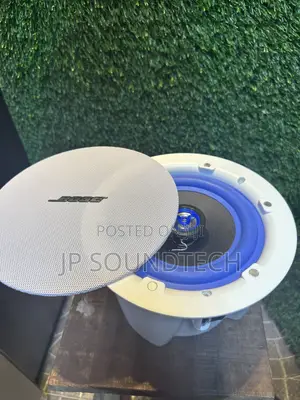 Bose Passive Ceiling Speaker