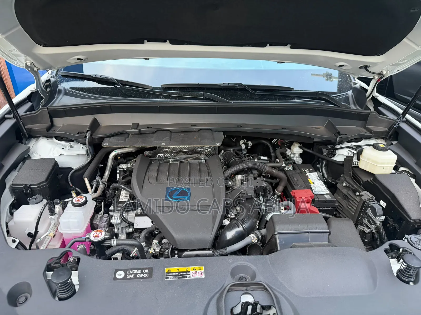 Lexus TX 350 2025 White