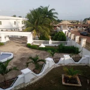 Professional Exterior and Interior Painters
