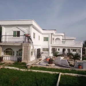 Professional Exterior and Interior Painters