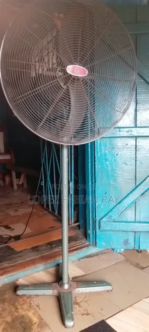 Standing Fan