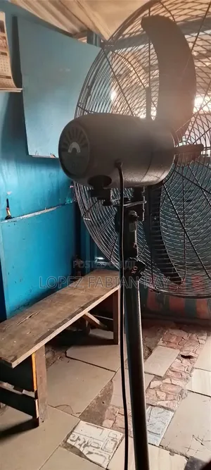 Standing Fan