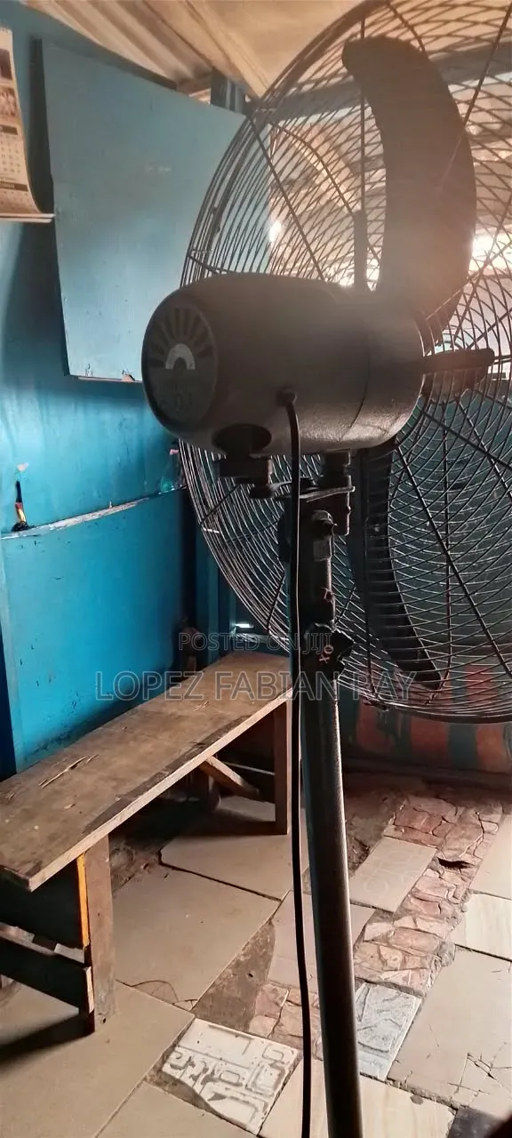 Standing Fan