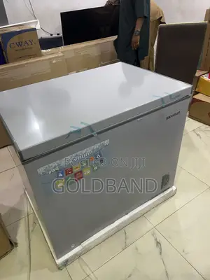 Skyrun BD 260A 260L Chest Freezer – Spacious Food Storage Solution