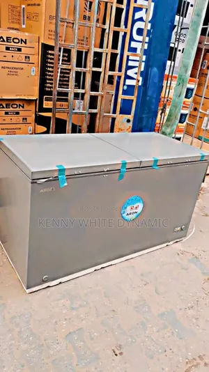 Aeon Double Door Freezer Model 450Gk