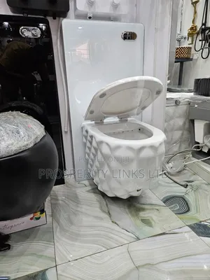 Luxury Conseal Water Closet