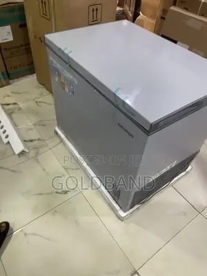 Skyrun BD 260A Deep Freezer for Homes, Shops and Offices