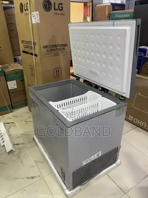 Skyrun 260L Chest Deep Freezer for Family Food Preservation