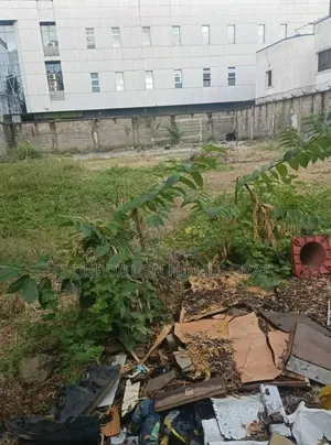 950 SQM Mixed Used Land