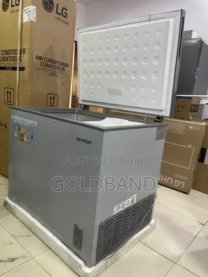 Skyrun 260L Chest Freezer for Restaurants and Small Businesses