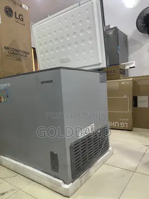 Skyrun BD 260A Deep Freezer – Smart Frozen Food Management