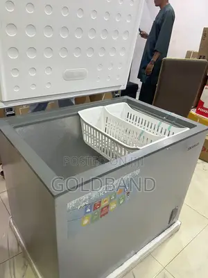 Skyrun 260L Deep Freezer for Home and Commercial Use