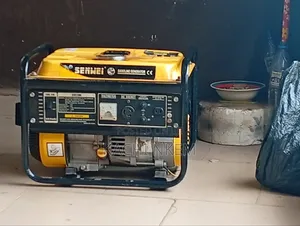 Senwei Generator
